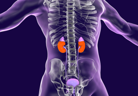 THẬN - TIẾT NIỆU